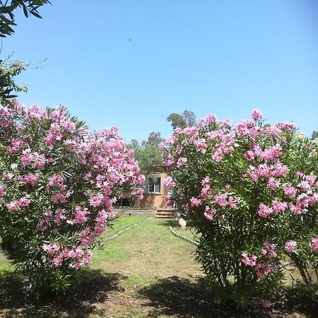 Villa Olia Tortolì Екстериор снимка