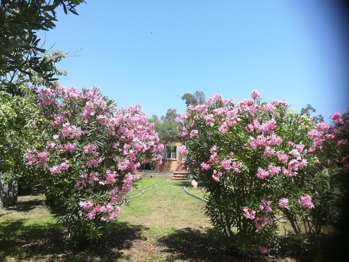 Villa Olia Tortolì Екстериор снимка